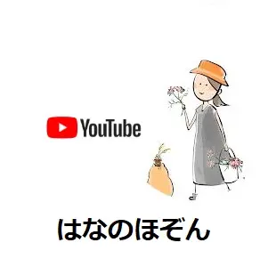 はなのほぞん（youtubeﾁｬﾝﾈﾙ）