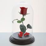 花の保存・バラ1本長ガラスドーム